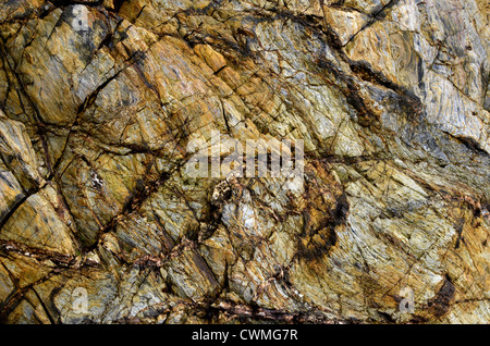 Cornwall - litorale roccia texture sfondo nella regione tra Par Sands e Polkerris. Concetto 'caduta su terra di pietra', geologia di guasto. Foto Stock