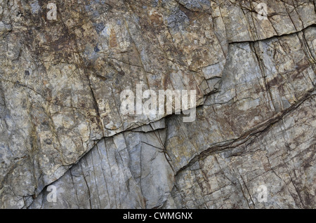 Cornwall - litorale roccia texture sfondo nella regione tra Par Sands e Polkerris. Concetto 'caduta su terra di pietra', geologia di guasto. Foto Stock