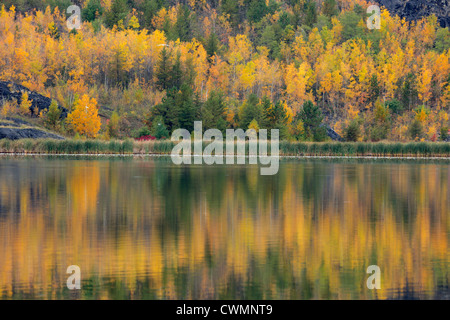 Autunno riflessioni di Kelly sul Lago Maggiore Sudbury, Ontario, Canada Foto Stock