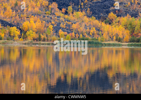 Autunno riflessioni di Kelly sul Lago Maggiore Sudbury, Ontario, Canada Foto Stock