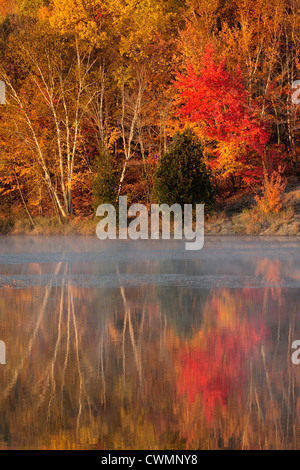 Autunno riflessioni di Simon sul Lago Maggiore Sudbury, Ontario, Canada Foto Stock