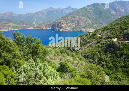 Porto bay seascape in Corsica, Francia Foto Stock