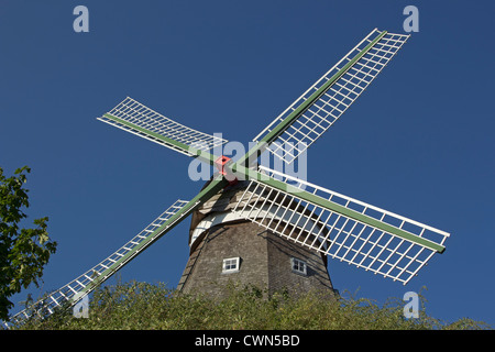 Il mulino a vento, Roebel, Mecklenburg laghi, Meclemburgo-Pomerania Occidentale, Germania Foto Stock