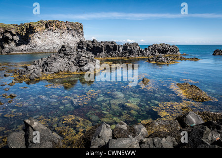 Formazioni di basalto e le scogliere degli uccelli, Arnarstapi, Snaefellsnes Peninsula, Islanda Foto Stock