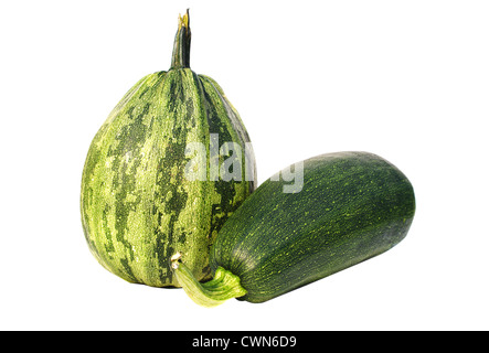 Green le zucchine fresche verdure crude prodotto naturale isolato su sfondo bianco (Cucurbita pepo var. giromontina) Foto Stock