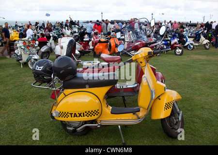 Vespa dipinta come giallo taxi alla International Rally Scooter Isle of Wight England Regno Unito Foto Stock