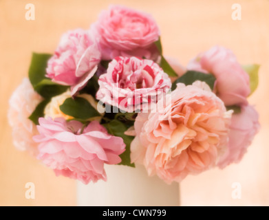 Rosa, Rosa, un mazzetto di rosa fiori di taglio disposti in un vaso in ceramica bianca. Foto Stock
