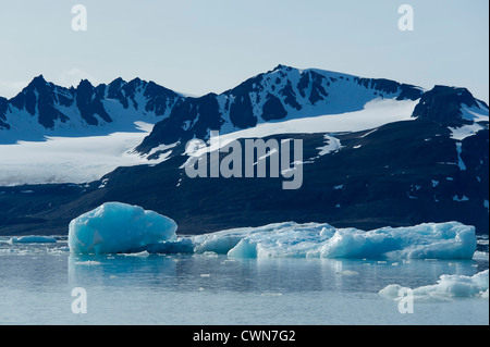 Mare di ghiaccio nella parte anteriore del ghiacciaio Lilliehoek, Spitsbergen, Svalbard, Arctic Foto Stock