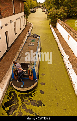 Acqua infestante che copre il Grand Union Canal Little Venice London REGNO UNITO Foto Stock