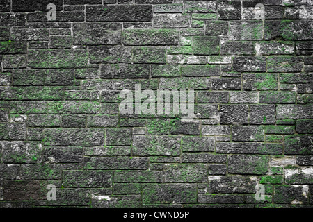 Il vecchio muro verde realizzata in pietra Foto Stock