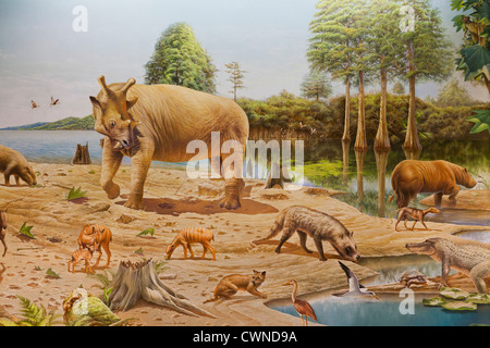 Artista raffigurazione di mammiferi dell'Oligocene epoch, Paleogene periodo (animali preistorici, mammiferi preistorici Foto Stock