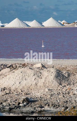 Il sale di montagna e lago di produzione sull'isola di Bonaire, Antille olandesi Foto Stock