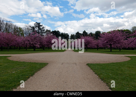 I frutteti in fiore a Chateau de Sceaux, Hauts-de-Seine, Francia Foto Stock