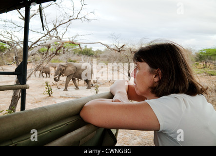 Tanzania safari - una donna turistica guardando elefanti da un safari in jeep, Selous Game Reserve Tanzania Africa Foto Stock