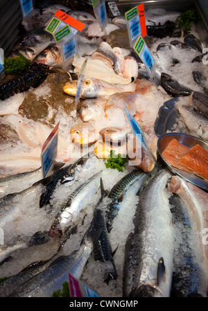 Un assortimento di pesce su ghiaccio a pescivendolo - REGNO UNITO Foto Stock