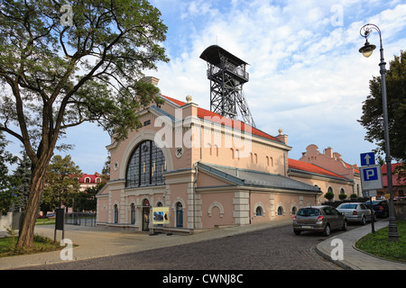 Le Miniere di Sale di Wieliczka e la storica Regis albero, Polonia. Foto Stock