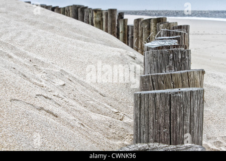 Registri allineati su una spiaggia, parzialmente ricoperto di sabbia Foto Stock