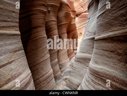 Zebra Slot Canyon foro nel Rock Road Scalone Escalante monumento nazionale USA Utah Foto Stock