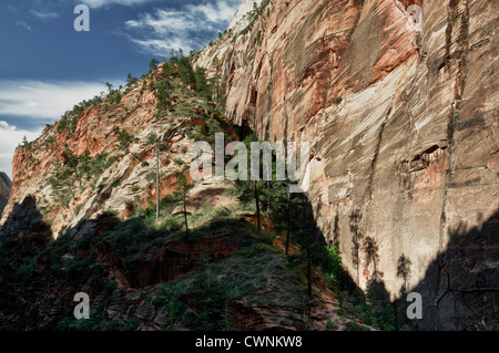 Torreggiante altezza alte scogliere di arenaria zion national park nello Utah Foto Stock