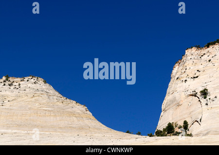 Torreggiante altezza alte scogliere di arenaria zion national park nello Utah Foto Stock