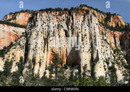 Torreggiante altezza alte scogliere di arenaria zion national park nello Utah Foto Stock