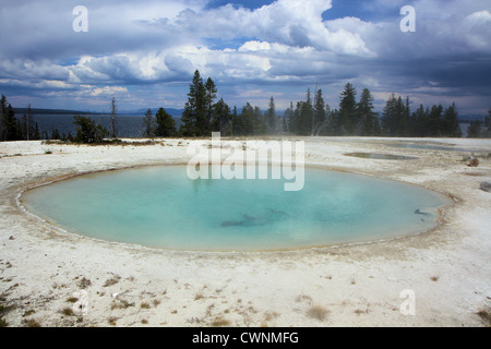 West Thumb Geyser Basin nel parco nazionale di Yellowstone, Wyoming USA Foto Stock