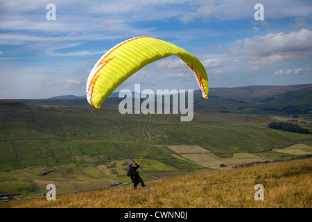 Parapendio con aletta su Montone castrato è sceso vicino Hawes, North Yorkshire Dales National Park, Regno Unito Foto Stock