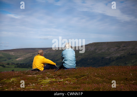 E Redmire Grinton Mori di Reeth nel Nord Yorkshire Dales, Richmondshire, REGNO UNITO Foto Stock