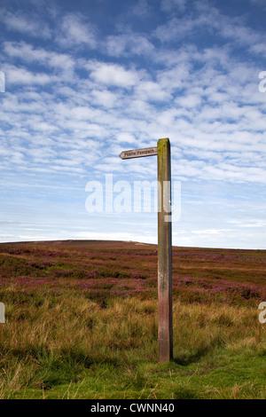 E Redmire Grinton Mori di Reeth. Autunno nel Nord Yorkshire Dales, Richmondshire, REGNO UNITO Foto Stock