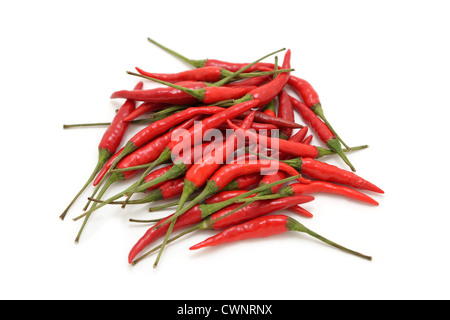 Peperoncino rosso, Hot Chilis tailandese Foto Stock