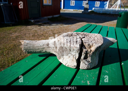 Vecchio vertebra di balena giacente su un tavolo vicino al museo in Sisimiut, la seconda città più grande in Groenlandia Foto Stock