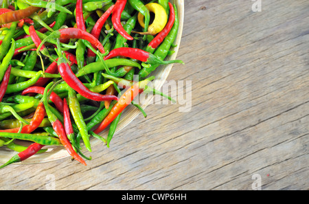 Il Peperoncino in vaso Foto Stock