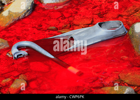 Attacco di squalo che mostra un subacqueo a pinna e fare snorkelling in una pozza di sangue lungo il litorale in acqua Foto Stock