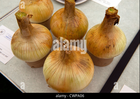 Cavendish Village, Suffolk, Inghilterra, Regno Unito.Il Villaggio annuale Fete sul verde in un tipico villaggio inglese. 1 sett 2012 Foto Stock