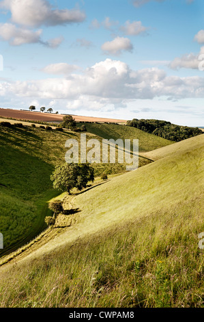 Una vista guardando a nord est fino Horsedale vicino Pocklington sul Yorkshire Wolds Foto Stock