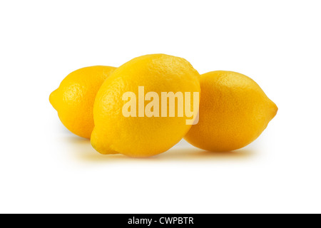 Citrus limon, limone Foto Stock