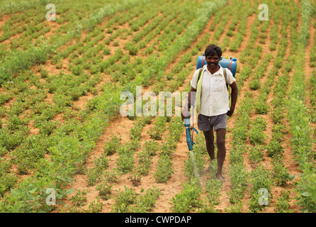 L'agricoltore indiano la spruzzatura di pesticidi Andhra Pradesh in India del Sud Foto Stock