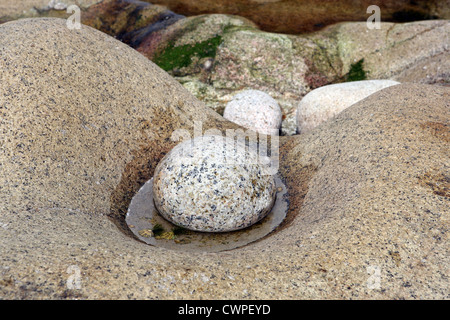 Ciottoli a Progo, vicino punto Gribba, Cape-Cornwall Cornwall Inghilterra UK GB Foto Stock