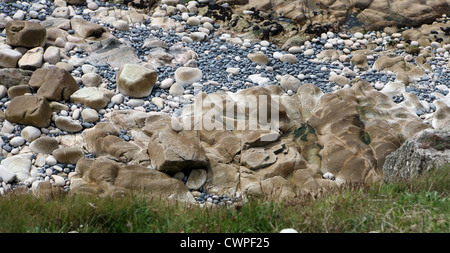 Ciottoli a Progo, vicino punto Gribba, Cape-Cornwall Cornwall Inghilterra UK GB Foto Stock