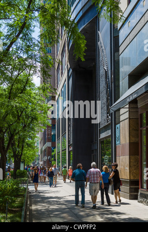 Negozi sul Magnificent Mile fuori Saks Fifth Avenue store su N Michigan Avenue, Chicago, Illinois, Stati Uniti d'America Foto Stock