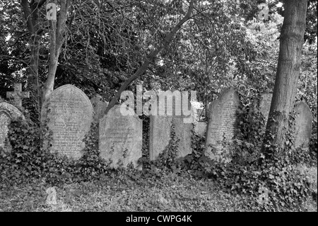 Abney cimitero giardino, Stoke Newington, Londra, Regno Unito. Immagine in bianco e nero. Foto Stock