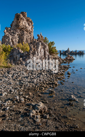 Bellissima vista del tufo strane torri del Lago Mono. Foto Stock