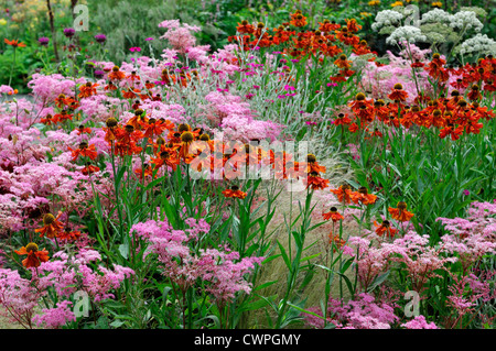 Fine Estate inizio autunno piante erbacee perenni bed confine colore colore helenium filipendula arancione rosa Foto Stock