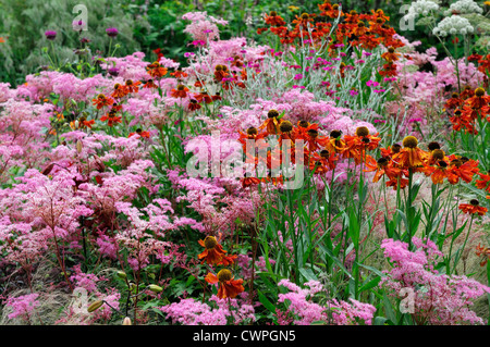 Fine Estate inizio autunno piante erbacee perenni bed confine colore colore helenium filipendula arancione rosa Foto Stock