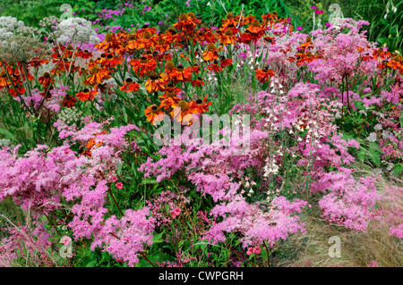 Fine Estate inizio autunno piante erbacee perenni bed confine colore colore helenium filipendula arancione rosa Foto Stock