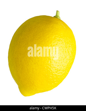 Citrus limon, limone Foto Stock