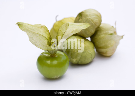 Physalis philadelphica. Tomatillo frutto su uno sfondo bianco. Foto Stock