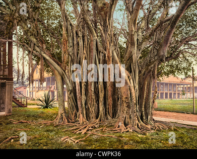 Struttura in gomma negli Stati Uniti le caserme, Key West, Florida, circa 1900 Foto Stock