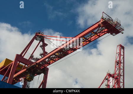 Gru e portali che il carico e lo scarico di navi container nel porto di Melbourne, Australia Foto Stock