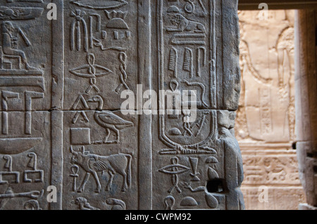 Antichi geroglifici egiziani del Tempio di Edfu Alto Egitto Foto Stock